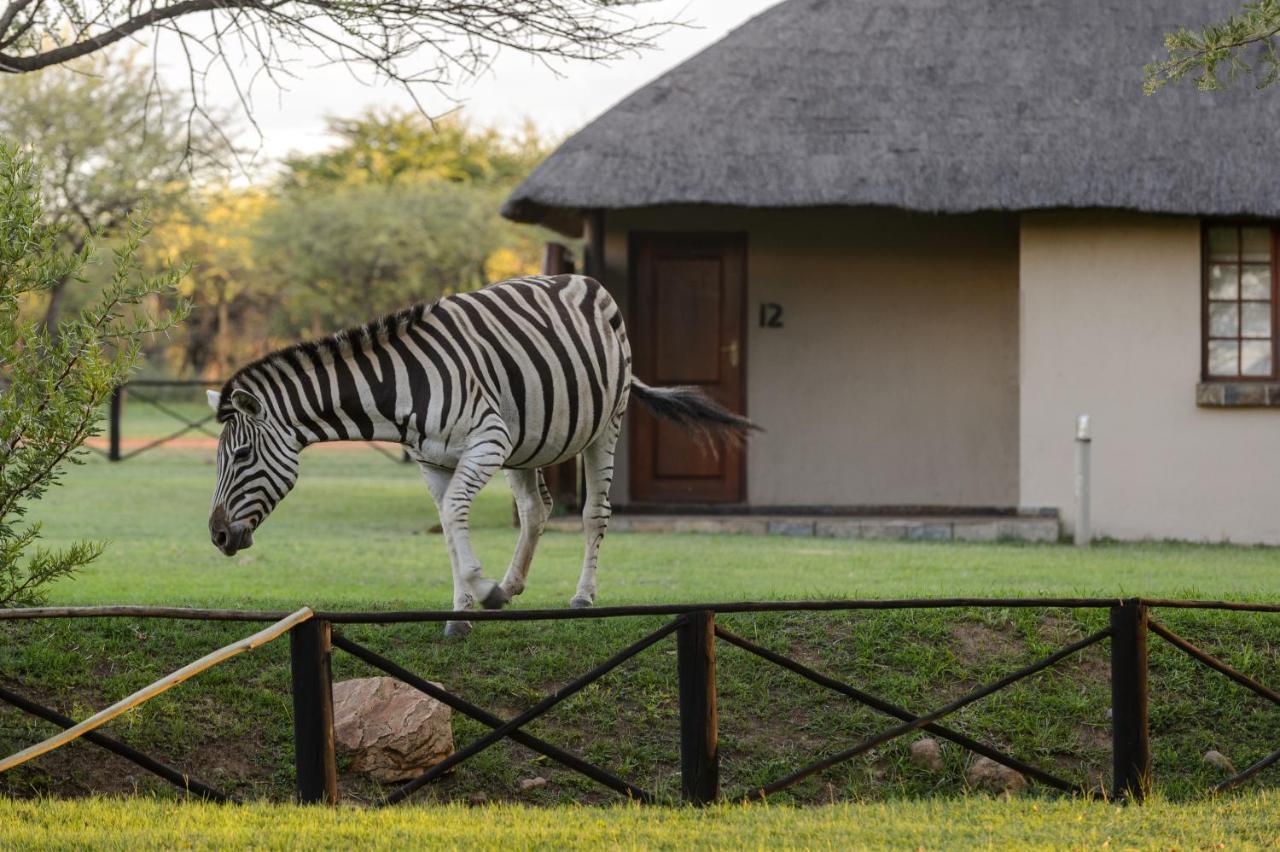 Mongena Private Game Lodge Rust de Winter Dış mekan fotoğraf