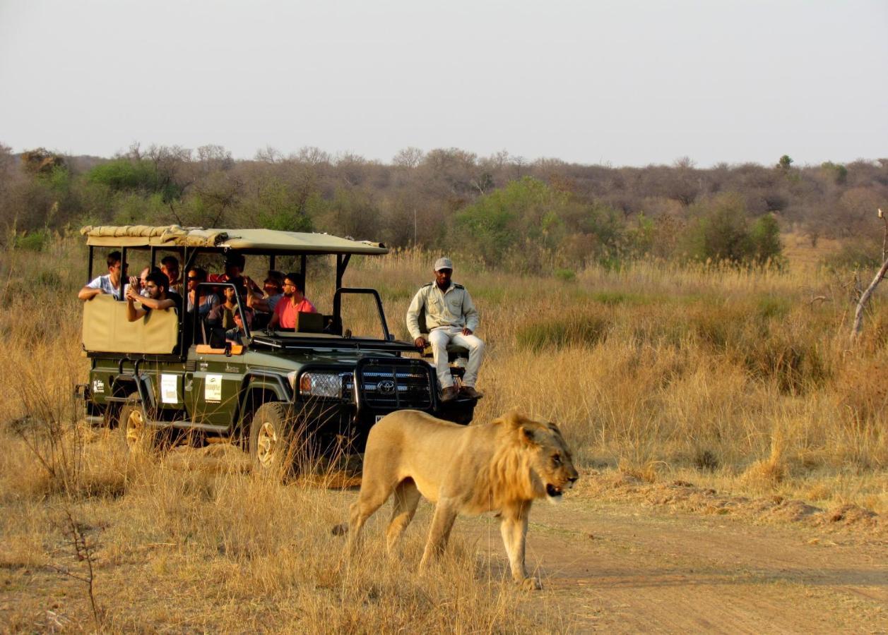 Mongena Private Game Lodge Rust de Winter Dış mekan fotoğraf